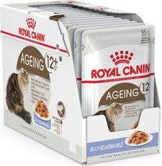 Royal Canin корм для пожилых кошек Ageing +12, 12x85 г цена и информация | Консервы для кошек | pigu.lt