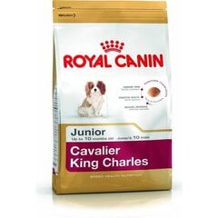 Royal Canin для собак породы спаниель Cavalier King Charles Junior, 1,5 кг цена и информация |  Сухой корм для собак | pigu.lt