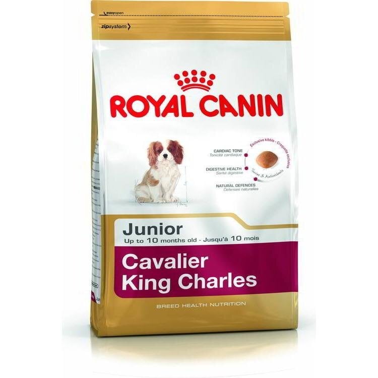 Royal Canin spanielių veislės šuniukams Cavalier King Charles Junior, 1,5 kg цена и информация | Sausas maistas šunims | pigu.lt