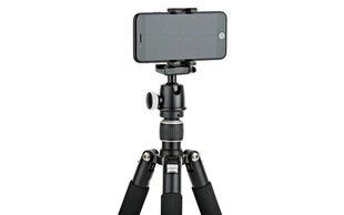 Joby GripTight One Mount 56-91 mm kaina ir informacija | Telefono laikikliai | pigu.lt