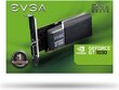 EVGA GeForce GT 1030 SC kaina ir informacija | Vaizdo plokštės (GPU) | pigu.lt