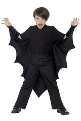 Šikšnosparnio sparnai kaina ir informacija | Karnavaliniai kostiumai | pigu.lt