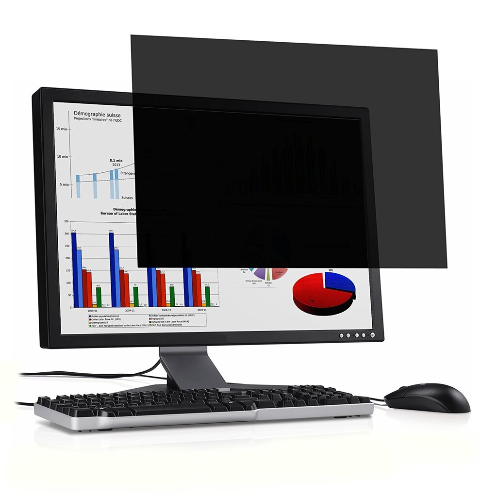 Ekrano filtras Port Designs 900006, 15.6", 16/10 kaina ir informacija | Kompiuterių aušinimo ir kiti priedai | pigu.lt