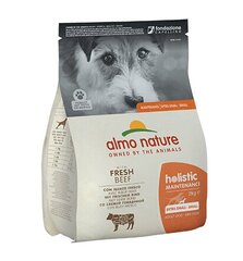 Almo Nature Holistic Maintenance XS/S dydžio šunims, su jautiena, 2 kg kaina ir informacija | Sausas maistas šunims | pigu.lt