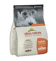 "Almo Nature Holistic" Maintenance XS/ S dydžio šunims su lašiša, 2 kg kaina ir informacija | Sausas maistas šunims | pigu.lt