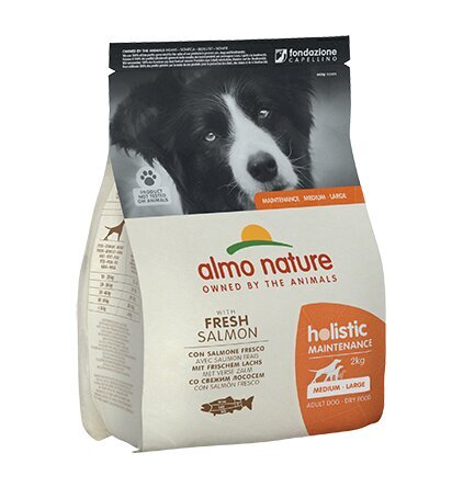 "Almo Nature Holistic Maintenance " M/L dydžio šunų priežiūra su lašiša, 2 kg kaina ir informacija | Sausas maistas šunims | pigu.lt