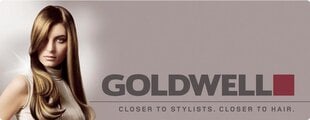 Geltonus tonus neutralizuojantis šampūnas šviesiems plaukams Goldwell Dualsenses Blondes & Highlights, 1000 ml kaina ir informacija | Goldwell Plaukų priežiūrai | pigu.lt