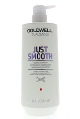 Glotnumo suteikiantis plaukų šampūnas Goldwell Dualsenses Just Smooth 1000 ml kaina ir informacija | Šampūnai | pigu.lt
