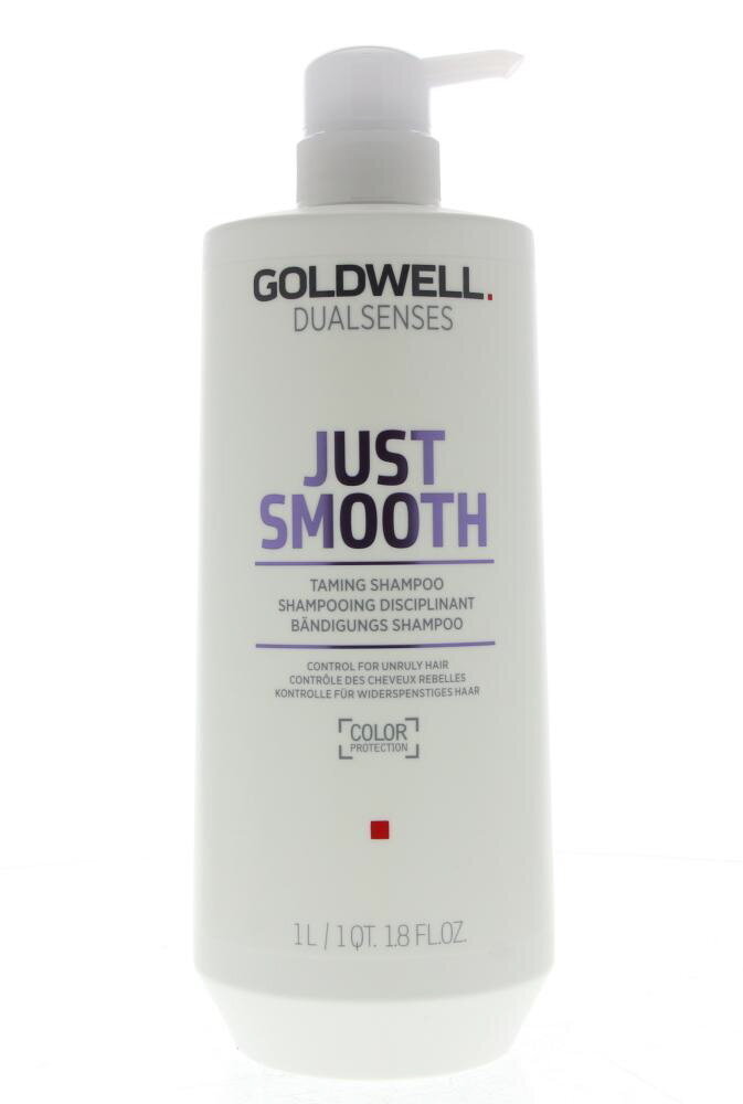 Glotnumo suteikiantis plaukų šampūnas Goldwell Dualsenses Just Smooth 1000 ml цена и информация | Šampūnai | pigu.lt