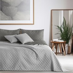 Dvipusė lovatiesė Axel Steel Silver, 170x270 cm kaina ir informacija | Lovatiesės ir pledai | pigu.lt