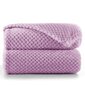 Mikrofibros pledas Henry Lilac, 170x210 cm kaina ir informacija | Lovatiesės ir pledai | pigu.lt