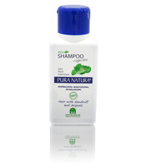 Šampūnas nuo pleiskanų sausiems plaukams Natura House Pura Natura 250 ml kaina ir informacija | Šampūnai | pigu.lt