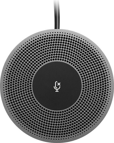 LogiTech 989-000405 kaina ir informacija | Kompiuterio (WEB) kameros | pigu.lt