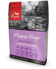 Orijen Puppy Large didelių veislių šunims su paukštiena, 6 kg цена и информация | Сухой корм для собак | pigu.lt