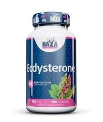 Maisto papildas Haya Labs Ecdysterone 100 kaps. kaina ir informacija | Testosterono skatintojai | pigu.lt