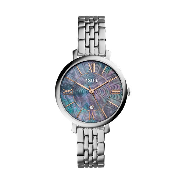 Moteriškas laikrodis Fossil ES4205 kaina ir informacija | Moteriški laikrodžiai | pigu.lt
