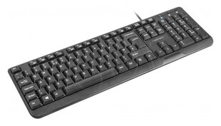 NATEC NKL- 0967 цена и информация | Клавиатуры | pigu.lt