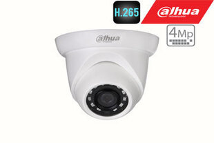 IP Камера 5MP HDBW3541E-S 2.8 м цена и информация | Камеры видеонаблюдения | pigu.lt