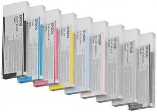 EPSON ink vivid light magenta Stylus4880 kaina ir informacija | Kasetės rašaliniams spausdintuvams | pigu.lt