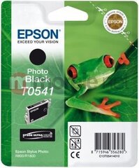 Epson C13T05414010 kaina ir informacija | Kasetės rašaliniams spausdintuvams | pigu.lt