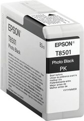 Epson C13T850100 kaina ir informacija | Kasetės rašaliniams spausdintuvams | pigu.lt