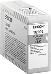 Epson C13T850900 kaina ir informacija | Kasetės rašaliniams spausdintuvams | pigu.lt