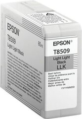 Картридж Epson T8509 Ink Cartridge, Light Light B цена и информация | Картриджи для струйных принтеров | pigu.lt