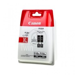 Canon 351203071 цена и информация | Картриджи для струйных принтеров | pigu.lt