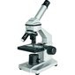 Bresser Junior 40X-1024X цена и информация | Teleskopai ir mikroskopai | pigu.lt