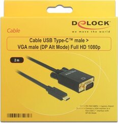 Delock 85262 USB C į VGA 2m. kaina ir informacija | Kabeliai ir laidai | pigu.lt