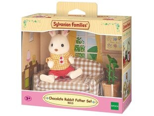 Заяц с аксессуарами Sylvanian Families цена и информация | Игрушки для девочек | pigu.lt