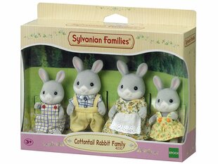 Семейство кроликов Sylvanian Families цена и информация | Игрушки для девочек | pigu.lt