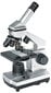 Bresser Biolux CA 40X-1024X kaina ir informacija | Teleskopai ir mikroskopai | pigu.lt
