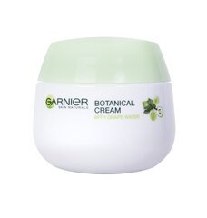 Garnier skin naturals moisturizing grape cream  garnier цена и информация | Garnier Для ухода за лицом | pigu.lt