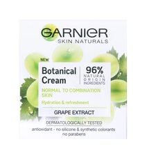 Garnier skin naturals moisturizing grape cream  garnier цена и информация | Garnier Для ухода за лицом | pigu.lt