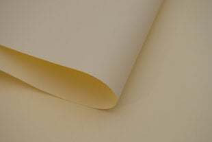 Sieninis roletas su audiniu Dekor 210x170 cm, d-18 smėlio цена и информация | Рулонные шторы | pigu.lt