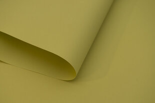 Рулонные шторы Klasika Decor, 220x170 см цена и информация | Рулонные шторы | pigu.lt