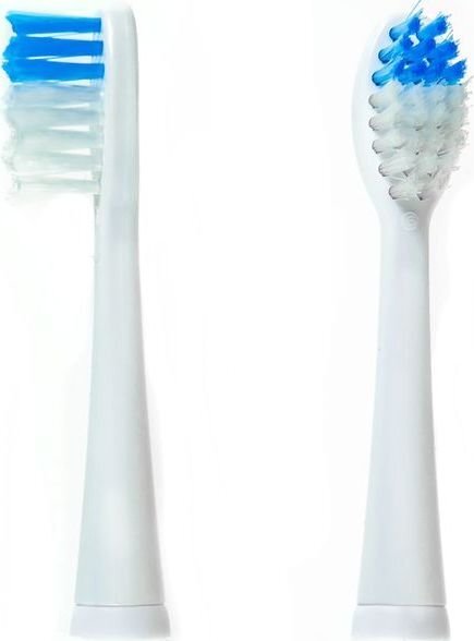 Camry CR 2158.1 kaina ir informacija | Elektrinių dantų šepetėlių antgaliai | pigu.lt