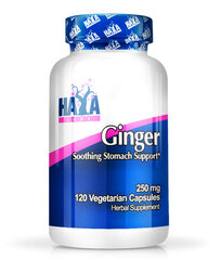 Haya Labs Ginger 120 капсул цена и информация | Витамины | pigu.lt