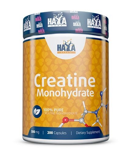 Haya Labs Sports Creatine Monohydrate, 200 kapsulių цена и информация | Kreatinas | pigu.lt