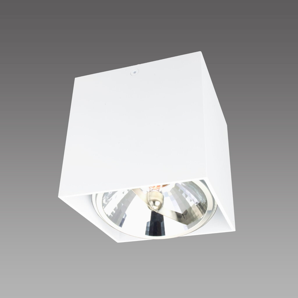 Light Prestige šviestuvas Aliano 1 white kaina ir informacija | Lubiniai šviestuvai | pigu.lt