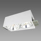 Light Prestige šviestuvas Corleto 1 white kaina ir informacija | Lubiniai šviestuvai | pigu.lt