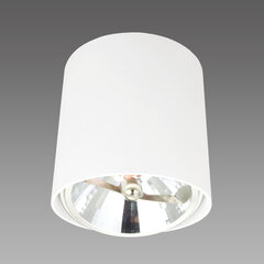 Light Prestige светильник Calda 1 white цена и информация | Потолочные светильники | pigu.lt