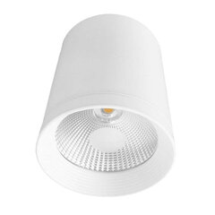 Light Prestige šviestuvas Zovo 1 white LED kaina ir informacija | Lubiniai šviestuvai | pigu.lt