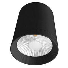 Light Prestige светильник Zovo 1 black LED​ цена и информация | Потолочные светильники | pigu.lt