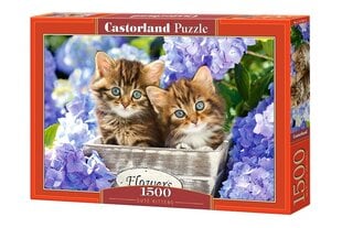 Dėlionė Cute Kittens Castorland, 1500 d. kaina ir informacija | Dėlionės (puzzle) | pigu.lt
