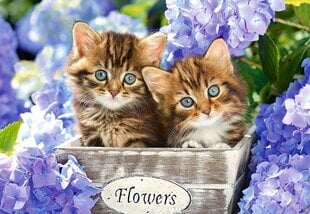 Пазл Castorland Cute Kittens, 1500 шт. цена и информация | Пазлы | pigu.lt