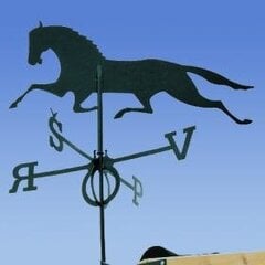 Флюгер Mustang цена и информация | Садовый палисадник Cellfast 4 Standard 2,3 м графит | pigu.lt