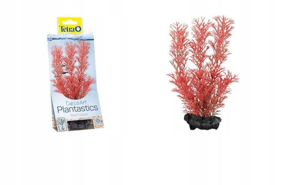 Dirbtinis augalas akvariumui Tetra DecoArt Plant L Foxtail Red, 30 cm kaina ir informacija | Akvariumo augalai, dekoracijos | pigu.lt