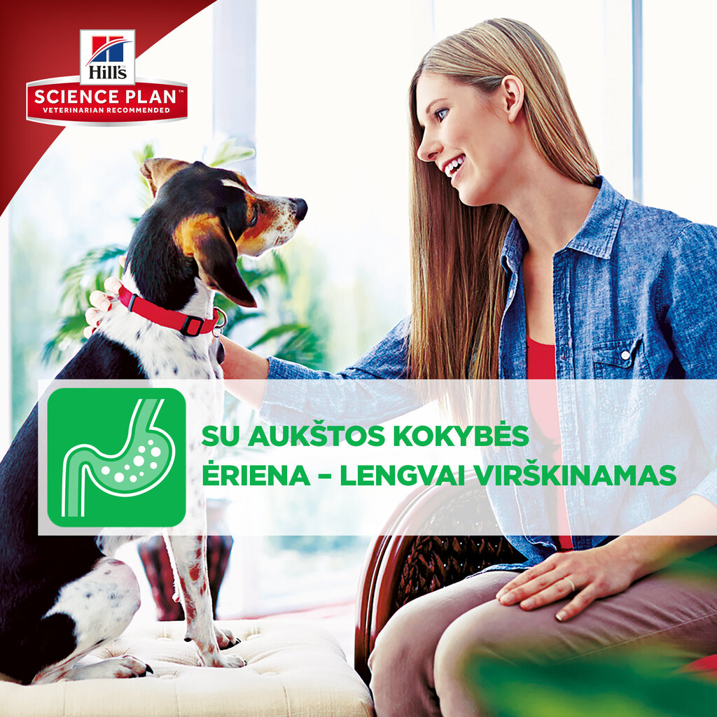 Hill's Science Plan Puppy Healthy Development Medium sausas maistas šunims su ėriena ir ryžiais, 12 kg kaina ir informacija | Sausas maistas šunims | pigu.lt